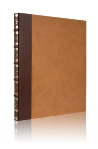 Aratea-Cerrado.jpg
