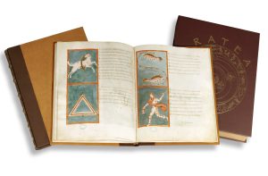 Aratea-collage.jpg